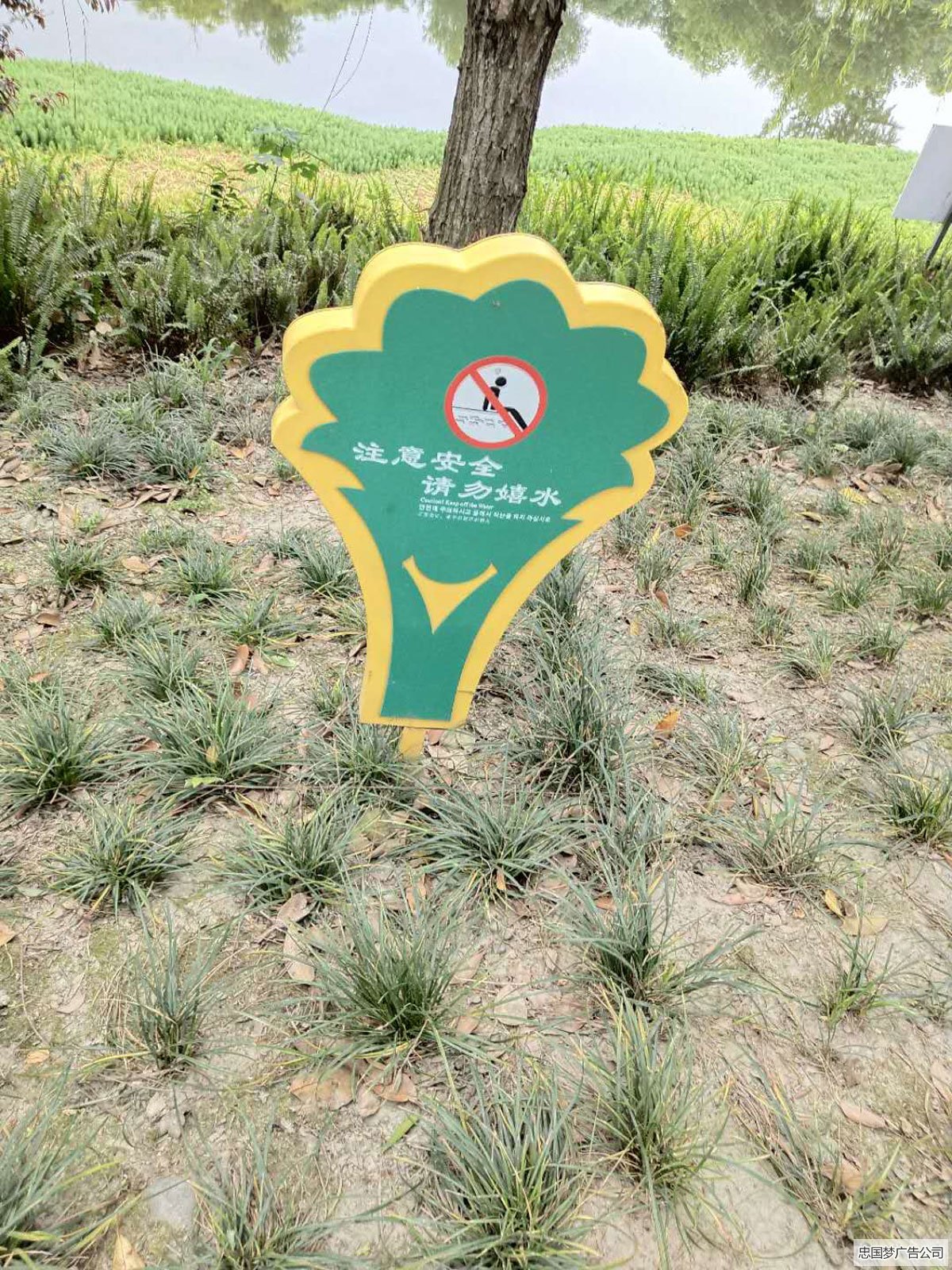 花草牌制作